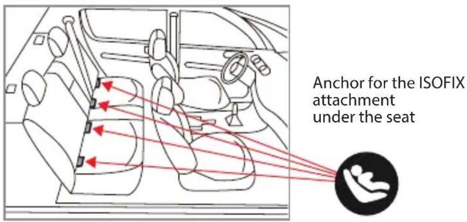 Burigotto Boavista Spin - Notice for vehicle use - 6