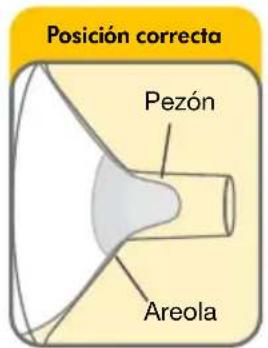 MEDELA Sonata - Pruebe el tamaño de su embudo - 2