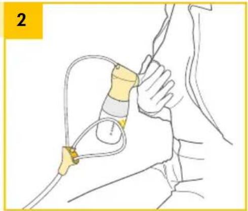 MEDELA Sonata - 11B. Expression simple - 2