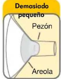 MEDELA Sonata - Pruebe el tamaño de su embudo - 1