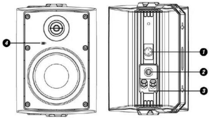 Power Dynamics WS50AB - 4