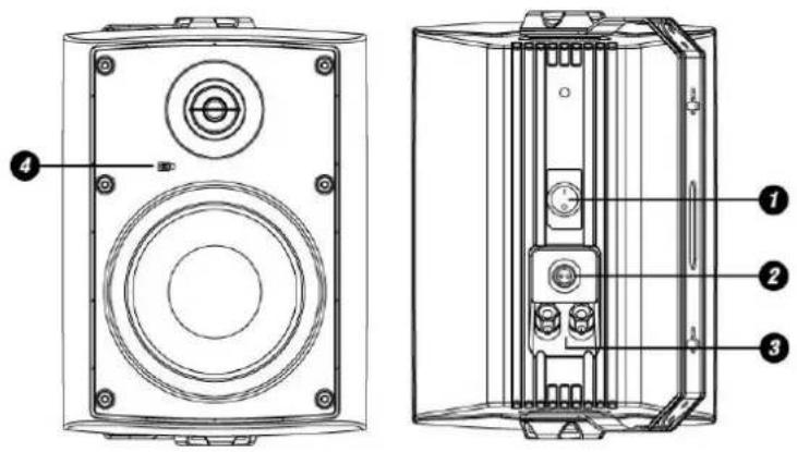 Power Dynamics WS50AB - 4
