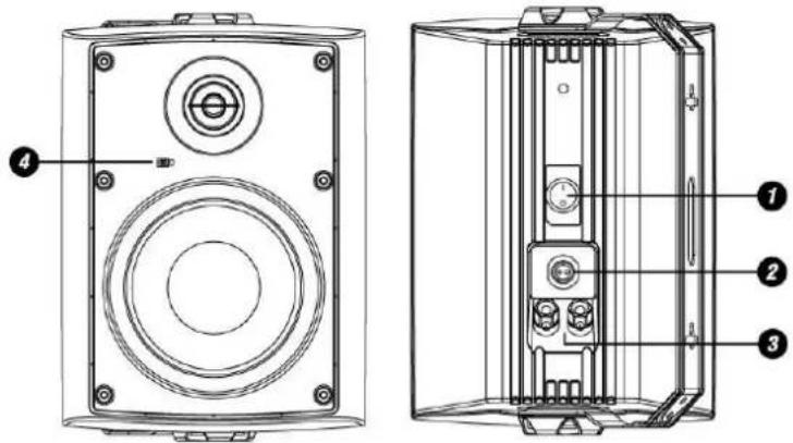 Power Dynamics WS50AB - 4