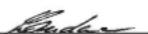 EINHELL AGSS 18 - Gras-Strauchschere AGSS 18 - 2