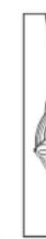 GE PFW870SPVRS - Mantenimiento de rutina - 3