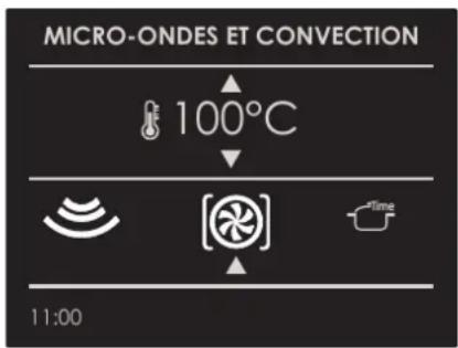MICRO-ONDES ET CONVECTION 100°C 11:00