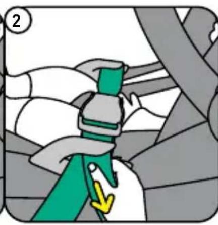 BESAFE Go Beyond Lite - Instalación en un avión - 3