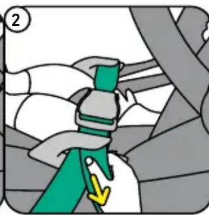BESAFE Go Beyond Lite - Kärust eemaldamine - 4