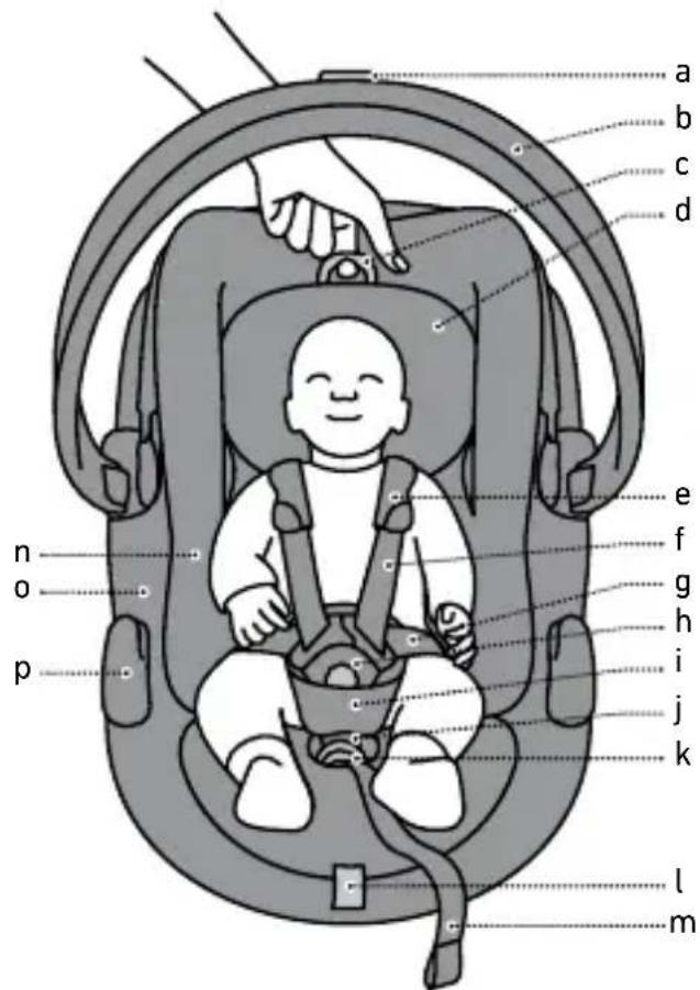 BESAFE Go Beyond Lite - Componenti - 1
