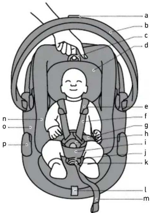 BESAFE Go Beyond Lite - Komponendid - 1