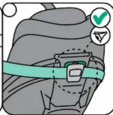 BESAFE Go Beyond Lite - Montering ved hjelp av bilbeltet - 3
