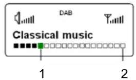 DUAL DAB 21 - Visualizzazione delle informazioni - 1