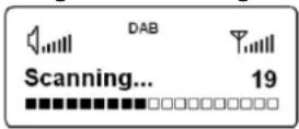 DUAL DAB 21 - Hinweis: - 1