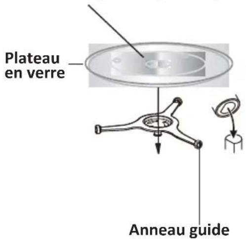 Plateau en verre Anneau guide