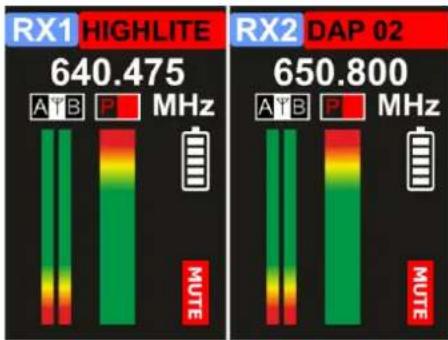 DAP-Audio EDGE EBS-2 - Options du menu principal - 1