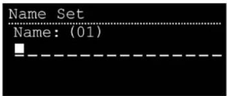 DAP-Audio Pure-18AS - Name Set (réglage du nom) - 1