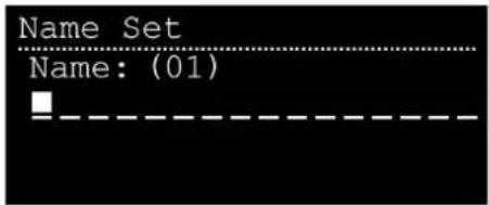 DAP-Audio Pure-12A - Name Set (réglage du nom) - 1