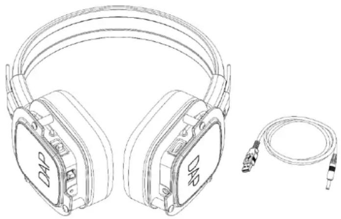 DAP-Audio Silent Disco Headphones - Avant d'utiliser le Produit - 2