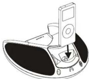 DUAL DDS 4 - Wie Sie Ihren iPod andocken - 1