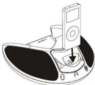 DUAL DDS 4 - Come inserire l'iPod nella docking station - 1