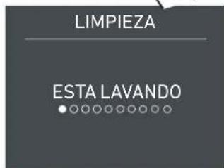 LIMPIEZA ESTA LAVANDO