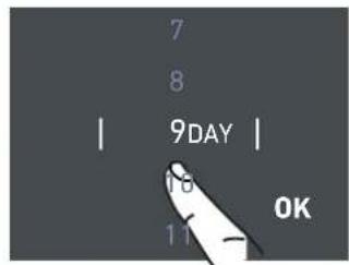 7 8 | 9DAY | 16 11 OK