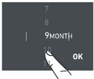 7 8 I 9MONTH 1.0 1.1 OK