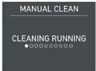 MANUAL CLEAN CLEANING RUNNING