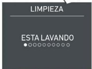 LIMPIEZA ESTA LAVANDO