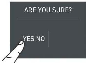 ARE YOU SURE? YES NO