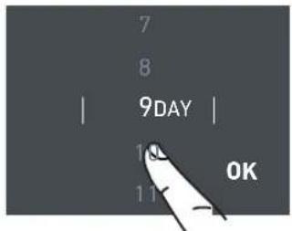 7 8 | 9DAY | 1 11 OK
