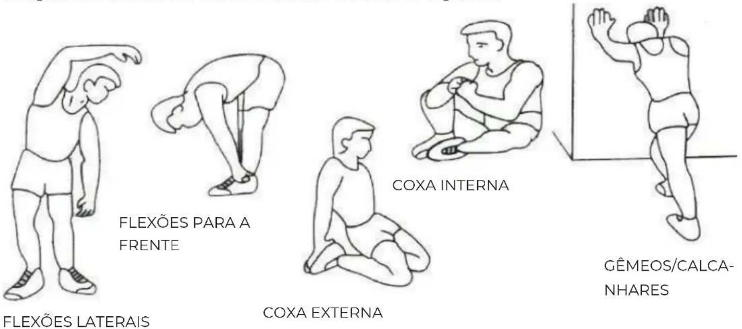 Prixton BF300 - INSTRUÇÕES DE EXERCÍCIOS - 1