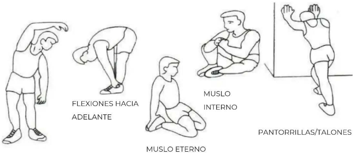 Prixton BF300 - INSTRUCCIONES DE EJERCICIOS - 1