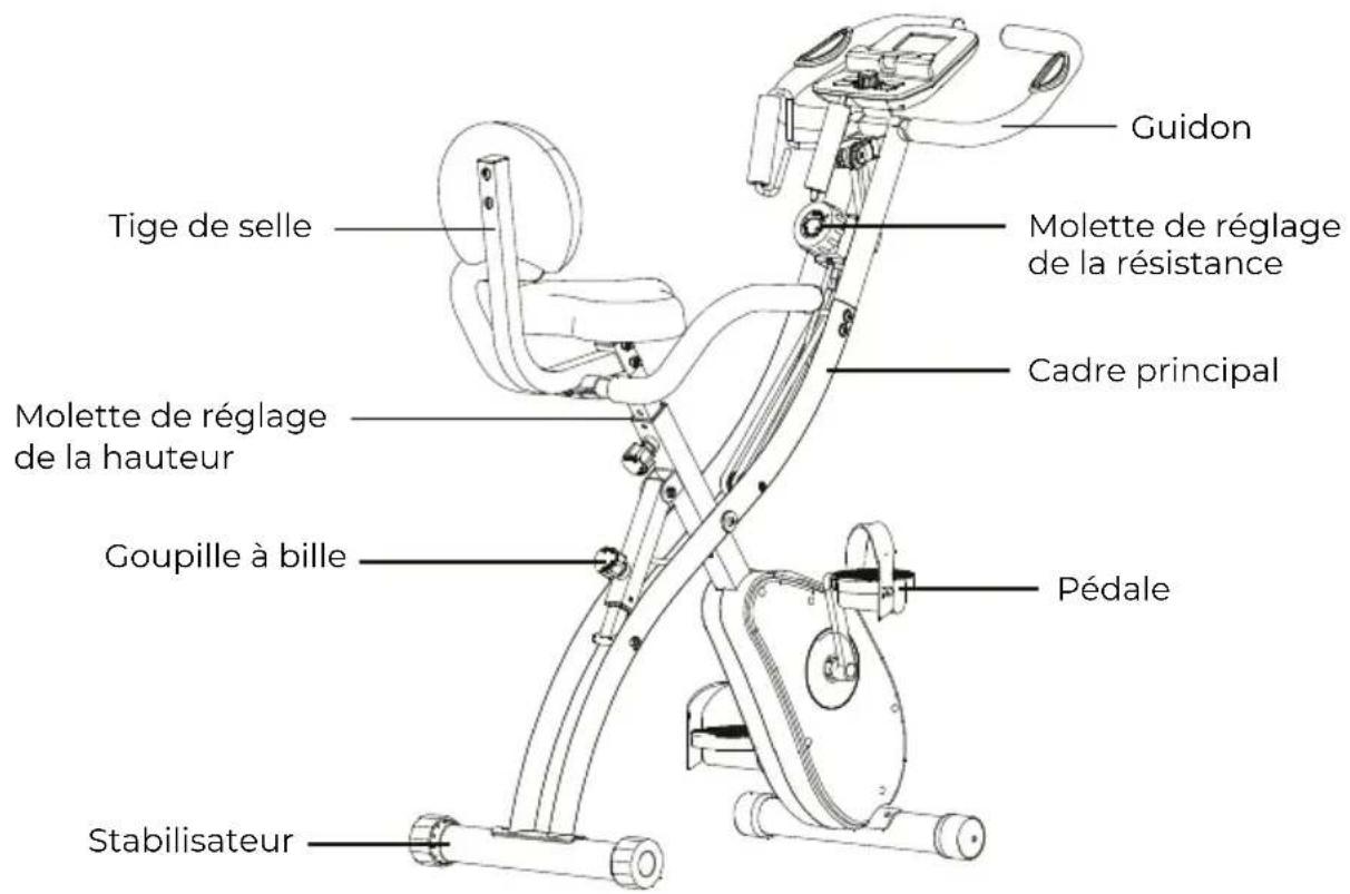 Prixton BF250 - PIÉCES PRINCIPALES - 1