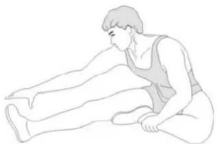 Prixton BF250 - Inner Thigh Stretch - 2