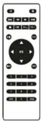 Prixton Picasso - Funzioni del telecomando: - 1