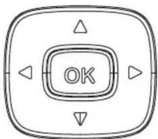 Prixton Picasso - Install / Remove battery of remote - 4