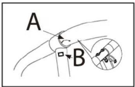 A B
