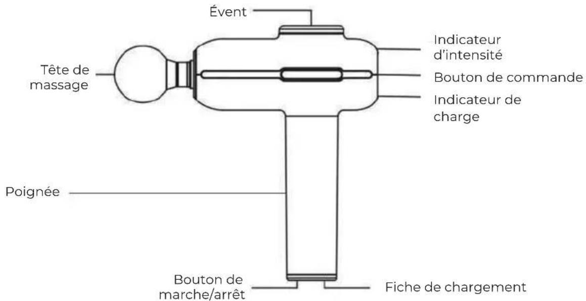 Évent Tête de massage Indicateur d'intensité Bouton de commande Indicateur de charge Poignée Bouton de marche/arrêt Fiche de chargement