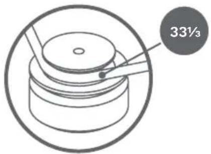REGA Neo MK2 - 1