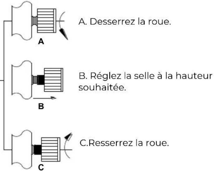 A. Desserrez la roue. B. Réglez la selle à la hauteur souhaitée. C. Resserrez la roue.