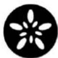 Showtec Phantom 250 Spot - 12 canaux, 16 canaux - 5