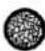 Showtec Polar 300 Hybrid - Roue de gobo rotative - 3