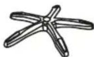 Prixton Onyx - COMPONENTES - 4