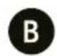 Prixton Onyx - BESTANDTEILE - 3