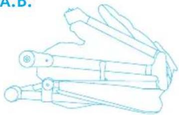 Foppapedretti Olimpic - 1
