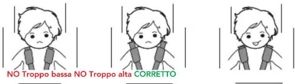Foppapedretti Babyroad i-Size - REGOLAZIONE DELL'ALTEZZA DEL POGGIATESTA E DELLE BRETELLE - 1