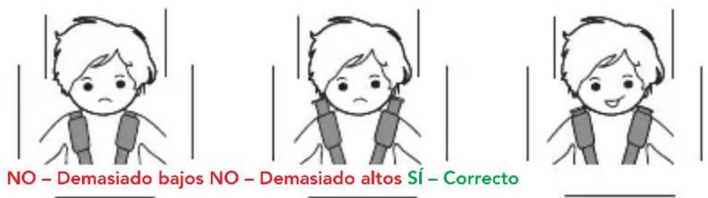 Foppapedretti Babyroad i-Size - REGULACIÓN DE LA ALTURA DEL APOYACABEZAS Y DE LOS TIRANTES - 1