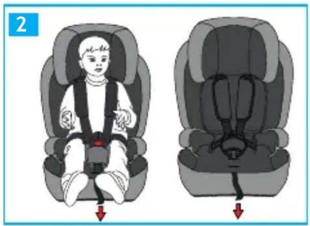 Foppapedretti Babyroad i-Size - 3