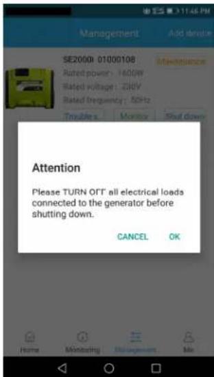 RIBIMEX PRGES2000I - 4.6.5- Turning off the generator - 2